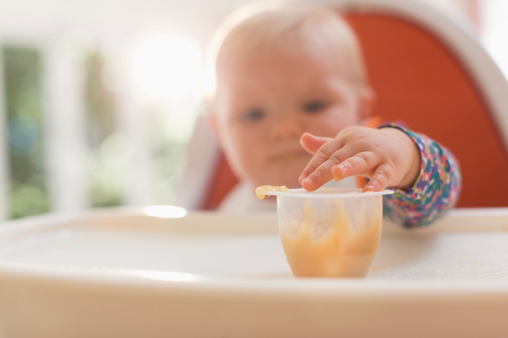 The ingredients in 651 commercial baby foods were evaluated in the research.