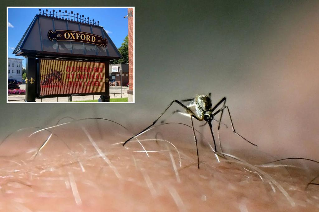 Northeast cities issue voluntary lockdown to prevent spread of potentially deadly EEE mosquito-borne disease